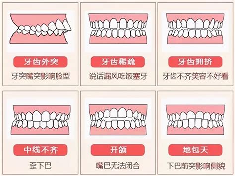 牙齒的功能